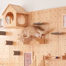 Bespoke cat climbing wall and pet furniture